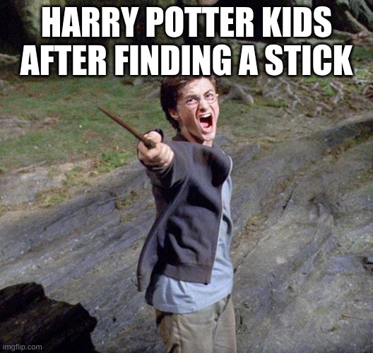 Harry potter | HARRY POTTER KIDS AFTER FINDING A STICK | image tagged in harry potter | made w/ Imgflip meme maker