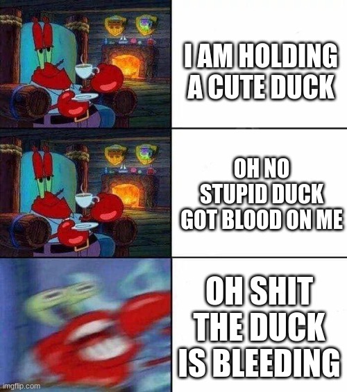 Mr. Krabs Freaking Out | I AM HOLDING A CUTE DUCK; OH NO STUPID DUCK GOT BLOOD ON ME; OH SHIT THE DUCK IS BLEEDING | image tagged in mr krabs freaking out | made w/ Imgflip meme maker