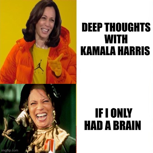 Kamala Harris Hotline Bling | DEEP THOUGHTS
WITH
KAMALA HARRIS; IF I ONLY
HAD A BRAIN | image tagged in memes,drake hotline bling,kamala harris,deep thoughts,wizard of oz scarecrow,first world problems | made w/ Imgflip meme maker