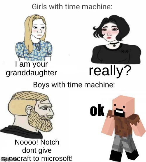 Time machine | I am your granddaughter; really? ok; Noooo! Notch dont give minecraft to microsoft! | image tagged in time machine | made w/ Imgflip meme maker