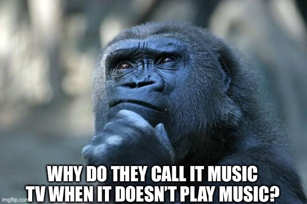 Why Do They? | WHY DO THEY CALL IT MUSIC TV WHEN IT DOESN’T PLAY MUSIC? | image tagged in deep thoughts,mtv,music,question,why | made w/ Imgflip meme maker