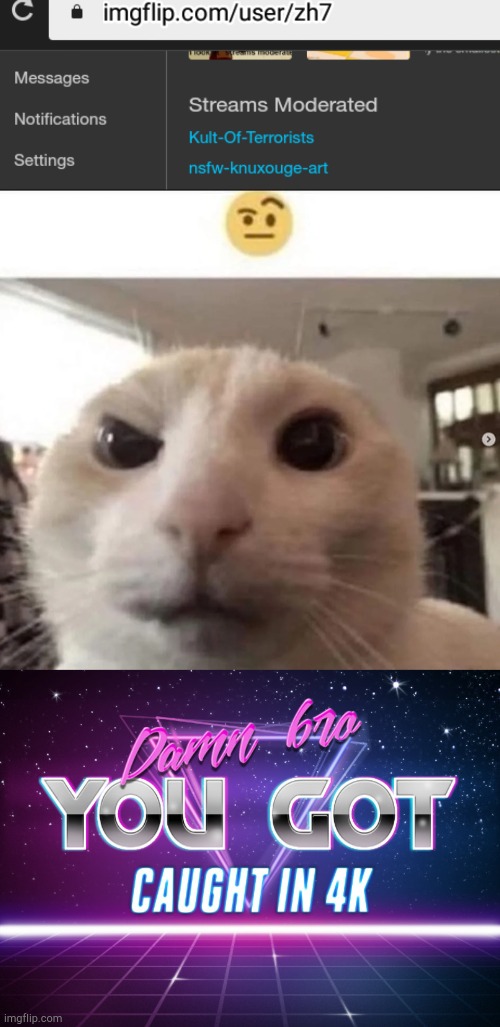 image tagged in raised eyebrow cat,damn bro you got caught in 4k | made w/ Imgflip meme maker