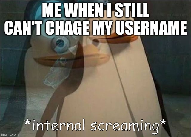 Private Internal Screaming | ME WHEN I STILL CAN'T CHANGE MY USERNAME | image tagged in private internal screaming | made w/ Imgflip meme maker