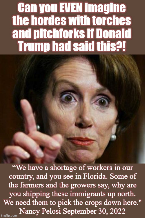 Nancy Nasty | Can you EVEN imagine
the hordes with torches
and pitchforks if Donald
Trump had said this?! “We have a shortage of workers in our
country, and you see in Florida. Some of
the farmers and the growers say, why are
you shipping these immigrants up north.
We need them to pick the crops down here."
Nancy Pelosi September 30, 2022 | image tagged in nancy pelosi no spending problem,trump,florida,immigrants,crops | made w/ Imgflip meme maker