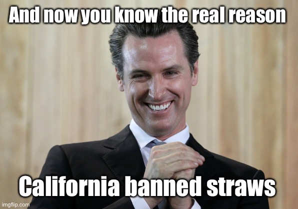 Scheming Gavin Newsom  | And now you know the real reason California banned straws | image tagged in scheming gavin newsom | made w/ Imgflip meme maker