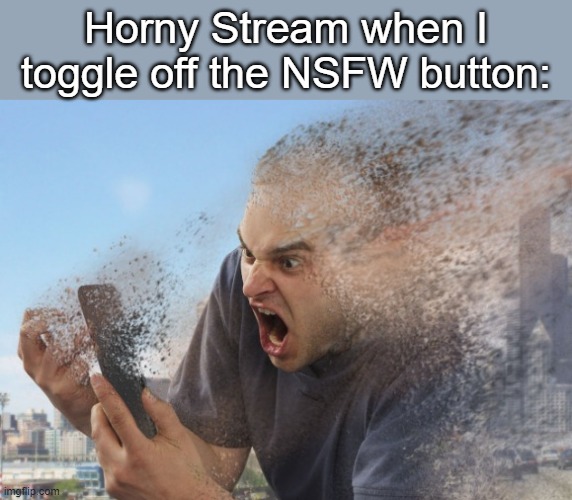 Horny Stream when I toggle off the NSFW button: | made w/ Imgflip meme maker