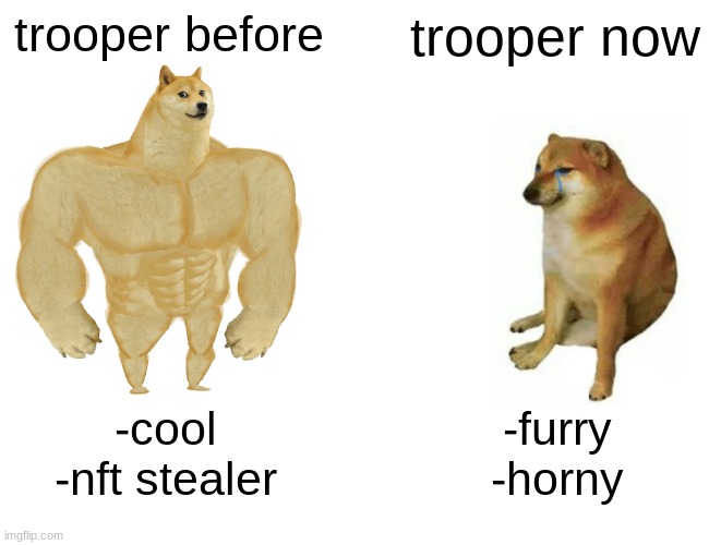 true story | trooper before; trooper now; -cool
-nft stealer; -furry
-horny | image tagged in memes,buff doge vs cheems | made w/ Imgflip meme maker