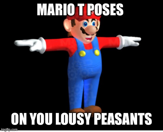 MARIO T POSES ON YOU LOUSY PEASANTS | made w/ Imgflip meme maker