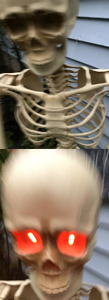 Real Shit Skeleton Blank Meme Template