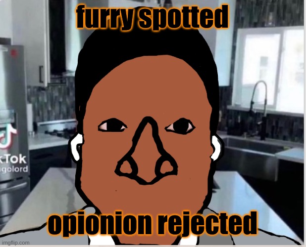 n | furry spotted opinion rejected | image tagged in n | made w/ Imgflip meme maker