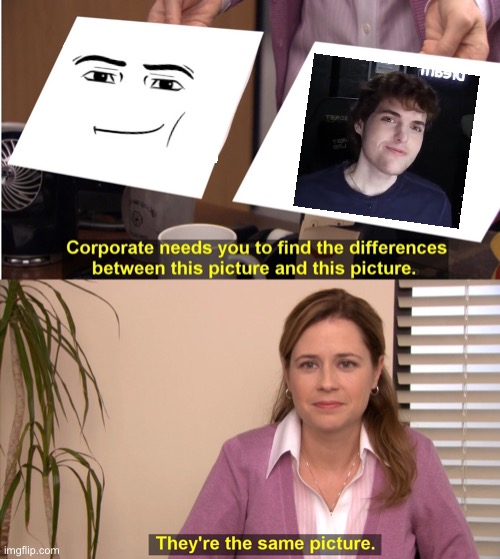 Dream face | image tagged in memes,they're the same picture,dream,face reveal | made w/ Imgflip meme maker