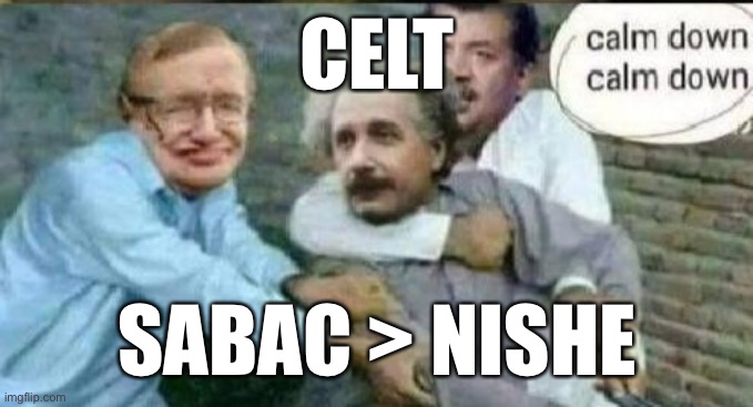 Calm down Albert Einstein | CELT; SABAC > NISHE | image tagged in calm down albert einstein | made w/ Imgflip meme maker