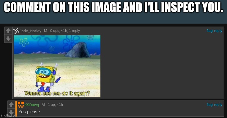 COMMENT ON THIS IMAGE AND I'LL INSPECT YOU. | made w/ Imgflip meme maker