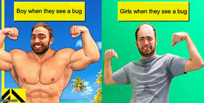 Why bugs | Boy when they see a bug; Girls when they see a bug | image tagged in buff guy vs actual guy | made w/ Imgflip meme maker