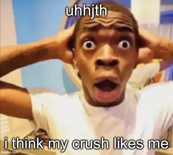 help | uhhjth; i think my crush likes me | image tagged in in shock | made w/ Imgflip meme maker
