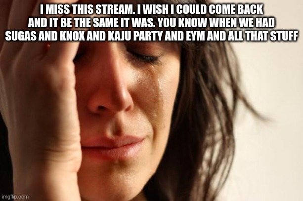 First World Problems | I MISS THIS STREAM. I WISH I COULD COME BACK AND IT BE THE SAME IT WAS. YOU KNOW WHEN WE HAD SUGAS AND KNOX AND KAJU PARTY AND EYM AND ALL THAT STUFF | image tagged in memes,first world problems | made w/ Imgflip meme maker