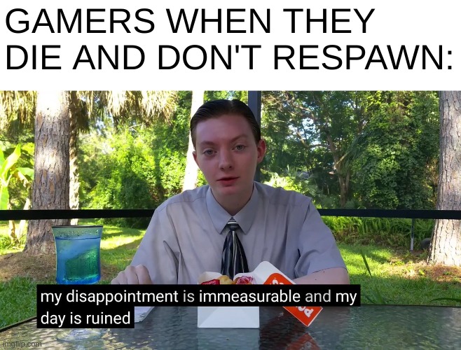 i hate it when that happens smh | GAMERS WHEN THEY DIE AND DON'T RESPAWN: | image tagged in my disappointment is immeasurable,funni,gamer moment | made w/ Imgflip meme maker