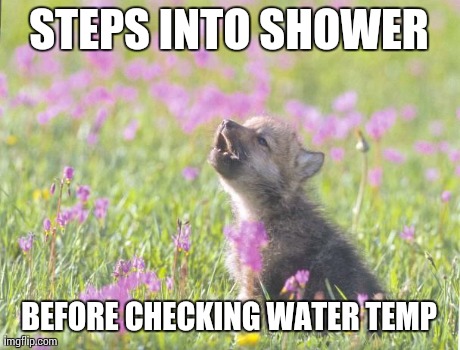 Baby Insanity Wolf | STEPS INTO SHOWER BEFORE CHECKING WATER TEMP | image tagged in memes,baby insanity wolf,AdviceAnimals | made w/ Imgflip meme maker