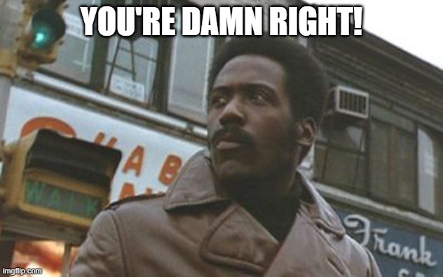 damn right | YOU'RE DAMN RIGHT! | image tagged in shaft,richard roundtree | made w/ Imgflip meme maker