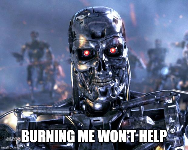 Terminator Robot T-800 | BURNING ME WON'T HELP | image tagged in terminator robot t-800 | made w/ Imgflip meme maker