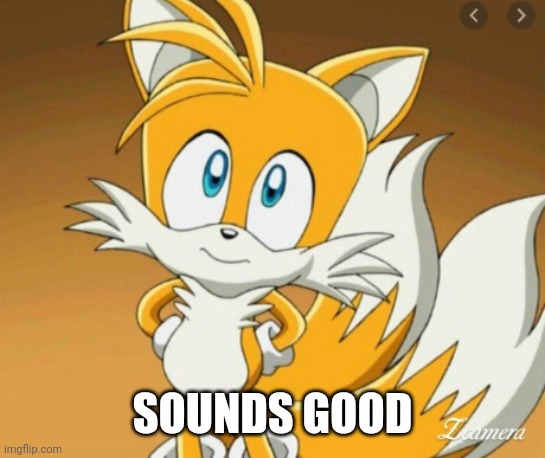 inocent tails | SOUNDS GOOD | image tagged in inocent tails | made w/ Imgflip meme maker