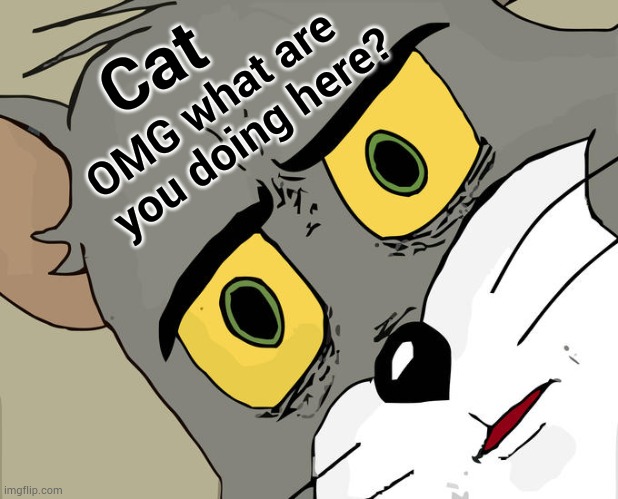 Unsettled Tom Meme | Cat OMG what are you doing here? | image tagged in memes,unsettled tom | made w/ Imgflip meme maker