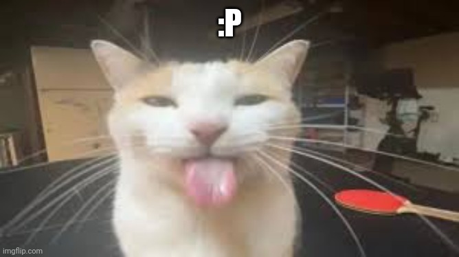 :P | made w/ Imgflip meme maker