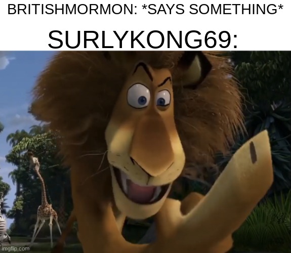 Average Madagascar fan | SURLYKONG69:; BRITISHMORMON: *SAYS SOMETHING* | image tagged in average madagascar fan | made w/ Imgflip meme maker