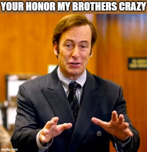 Saul Goodman Your Honor | YOUR HONOR MY BROTHERS CRAZY | image tagged in saul goodman your honor | made w/ Imgflip meme maker