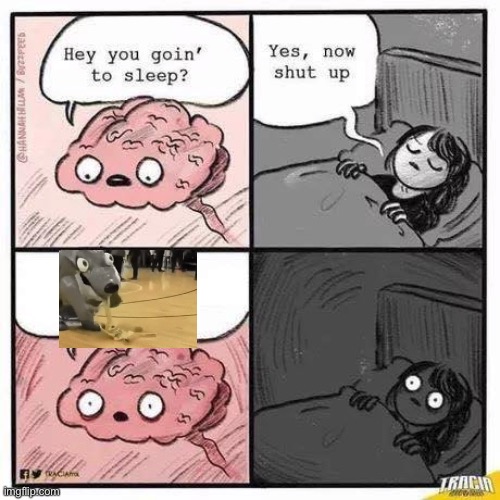 Brainsomnia | image tagged in brainsomnia | made w/ Imgflip meme maker