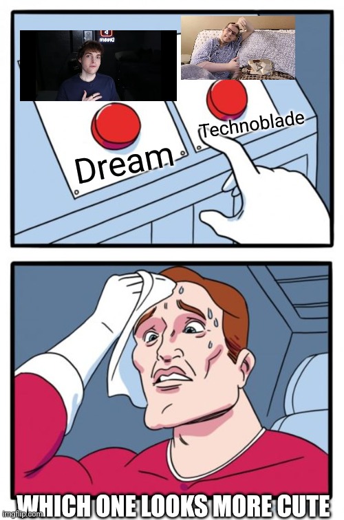 Who looks more cute | Technoblade; Dream; WHICH ONE LOOKS MORE CUTE | image tagged in memes,two buttons,dream face reveal,technoblade,dream | made w/ Imgflip meme maker