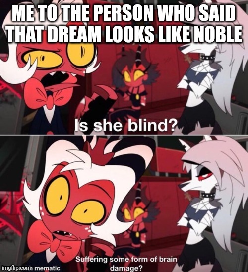 Is she blind | ME TO THE PERSON WHO SAID THAT DREAM LOOKS LIKE NOBLE | image tagged in is she blind | made w/ Imgflip meme maker