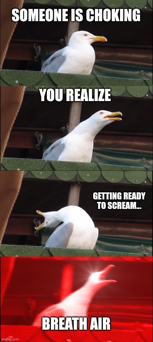 Inhaling Seagull | SOMEONE IS CHOKING; YOU REALIZE; GETTING READY TO SCREAM... BREATH AIR | image tagged in memes,inhaling seagull | made w/ Imgflip meme maker