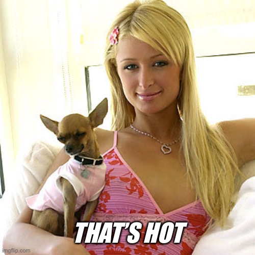 Paris Hilton | THAT’S HOT | image tagged in paris hilton | made w/ Imgflip meme maker