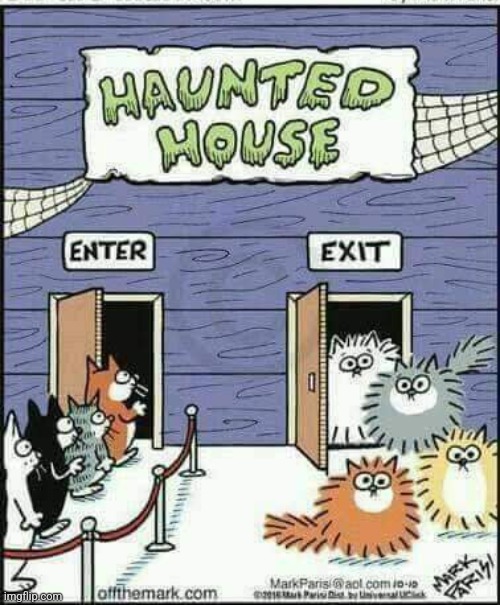 SCAREDY CATS | image tagged in cats,funny cats,spooktober,comics/cartoons | made w/ Imgflip meme maker