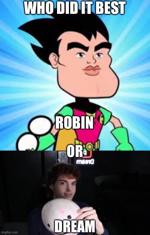 Who did is best | WHO DID IT BEST; ROBIN; OR; DREAM | image tagged in dream,robin,face reveal | made w/ Imgflip meme maker