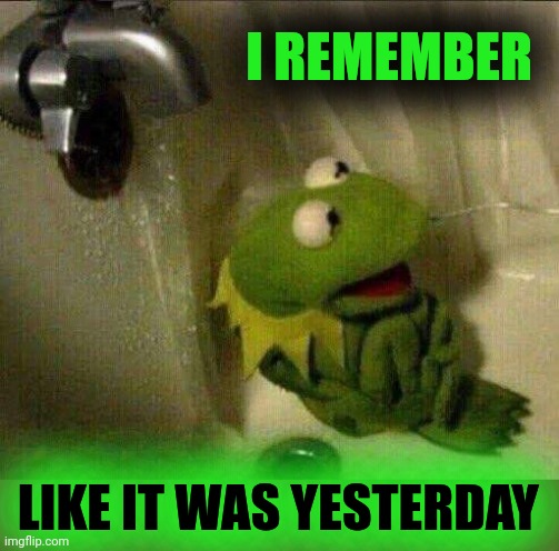 kermit crying terrified in shower | I REMEMBER LIKE IT WAS YESTERDAY | image tagged in kermit crying terrified in shower | made w/ Imgflip meme maker