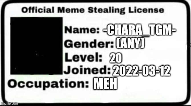 Meme Stealing License | -CHARA_TGM- (ANY) 20 2022-03-12 MEH | image tagged in meme stealing license | made w/ Imgflip meme maker