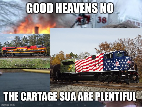 Heritage units be like |  GOOD HEAVENS NO; THE CARTAGE SUA ARE PLENTIFUL | image tagged in disaster girl | made w/ Imgflip meme maker