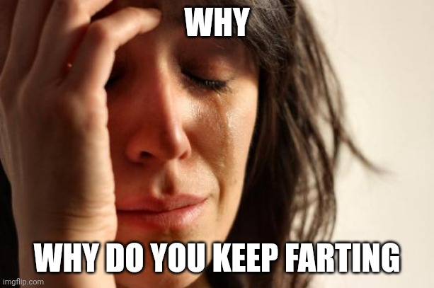 Stop farting pls | WHY; WHY DO YOU KEEP FARTING | image tagged in memes,first world problems,farting | made w/ Imgflip meme maker
