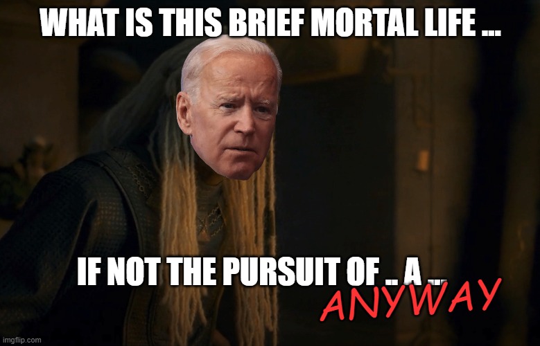 What is the brief mortal life anyway | WHAT IS THIS BRIEF MORTAL LIFE ... IF NOT THE PURSUIT OF .. A ... ANYWAY | image tagged in brief mortal life,joe biden,funny,motivational,house of the dragon,hotd | made w/ Imgflip meme maker