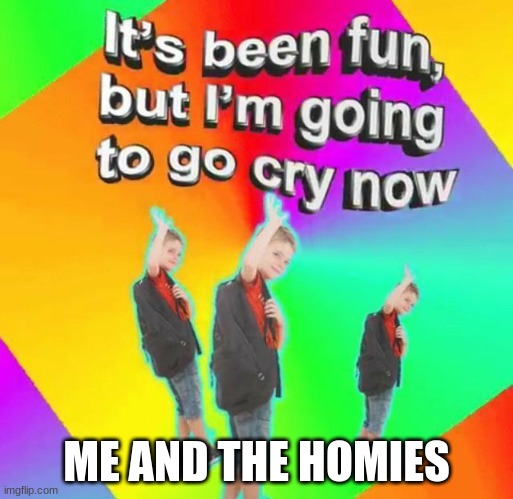 Its been fun, but i'm going to cry now | ME AND THE HOMIES | image tagged in its been fun but i'm going to cry now | made w/ Imgflip meme maker