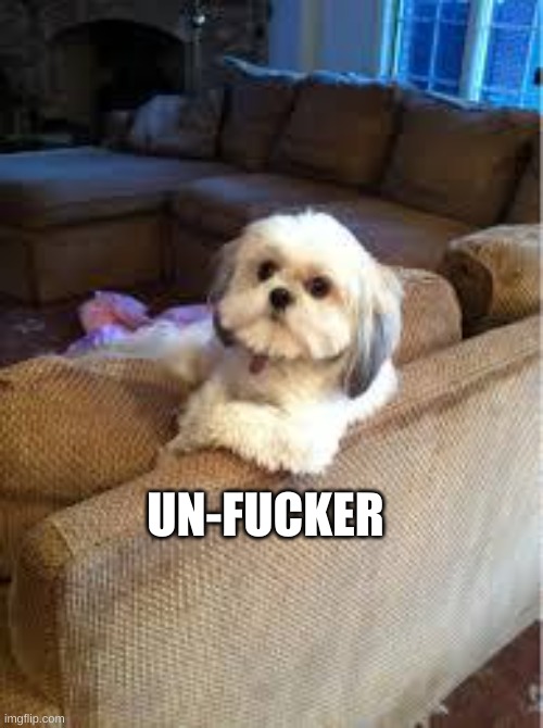 the most interesting dog in the world | UN-FUCKER | image tagged in the most interesting dog in the world | made w/ Imgflip meme maker