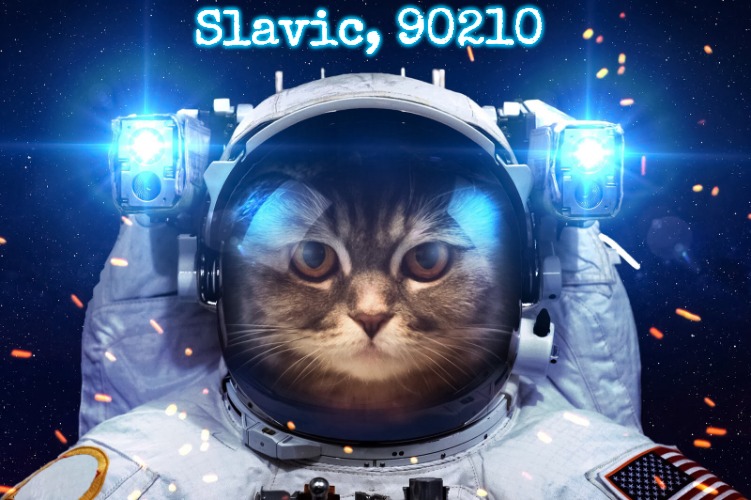 Space Cat 2 | Slavic, 90210 | image tagged in space cat 2,slavic,slm,blm | made w/ Imgflip meme maker