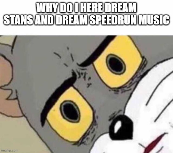 Tom Cat Unsettled Close up | WHY DO I HERE DREAM STANS AND DREAM SPEEDRUN MUSIC | image tagged in tom cat unsettled close up | made w/ Imgflip meme maker