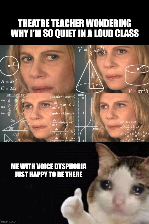 THEATRE TEACHER WONDERING WHY I'M SO QUIET IN A LOUD CLASS; ME WITH VOICE DYSPHORIA JUST HAPPY TO BE THERE | image tagged in transgender,voice | made w/ Imgflip meme maker