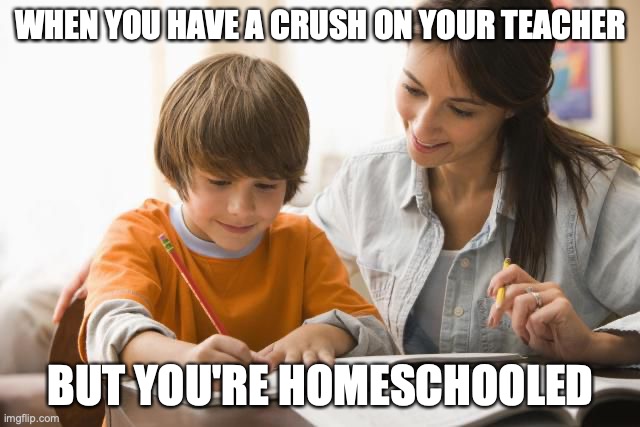  WHEN YOU HAVE A CRUSH ON YOUR TEACHER; BUT YOU'RE HOMESCHOOLED | image tagged in homeschool,education,teachers,school | made w/ Imgflip meme maker
