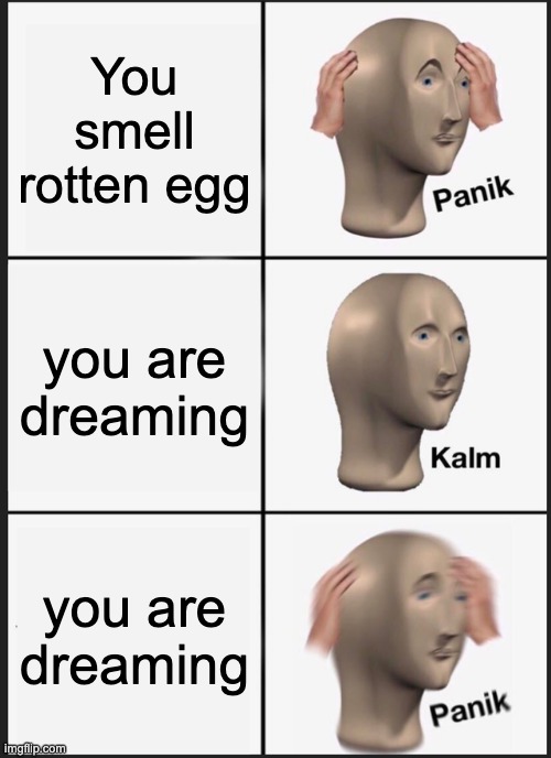 Smell rotten egg | You smell rotten egg; you are dreaming; you are dreaming | image tagged in memes,panik kalm panik | made w/ Imgflip meme maker