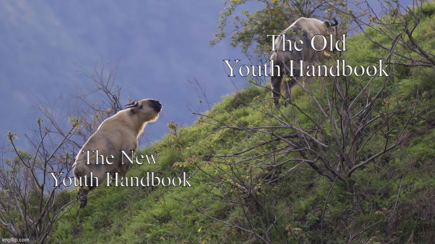 This is new. | The Old Youth Handbook; The New Youth Handbook | image tagged in takin defeat | made w/ Imgflip meme maker