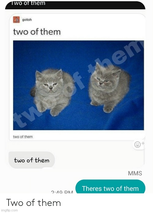 Two of them | image tagged in two of them | made w/ Imgflip meme maker